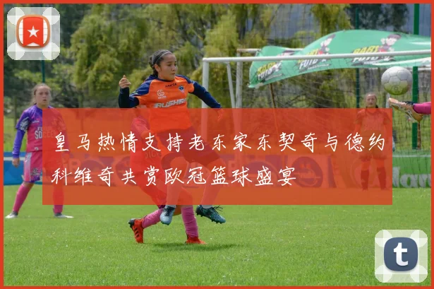 皇马热情支持老东家东契奇与德约科维奇共赏欧冠篮球盛宴