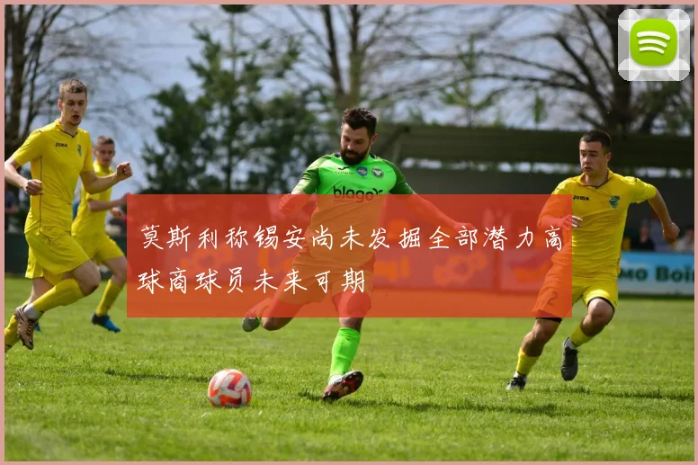 莫斯利称锡安尚未发掘全部潜力高球商球员未来可期