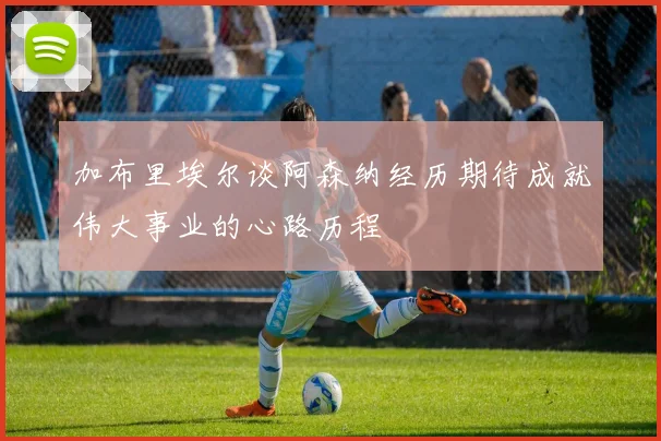 加布里埃尔谈阿森纳经历期待成就伟大事业的心路历程